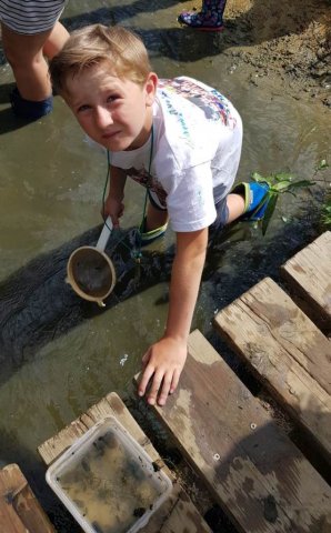 Abschlussgrillen der Klasse 4b im Biologiezentrum Bustedt